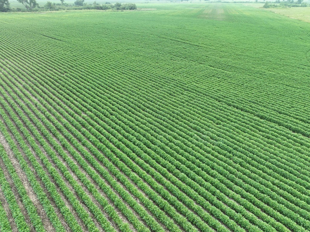 45th Street Ne, Benson