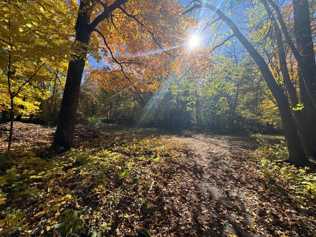 Tbd Selnes Rd, Glenwood Twp