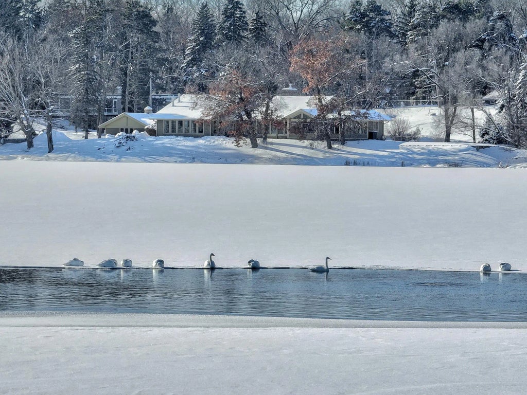 4 W Shore Road, North Oaks