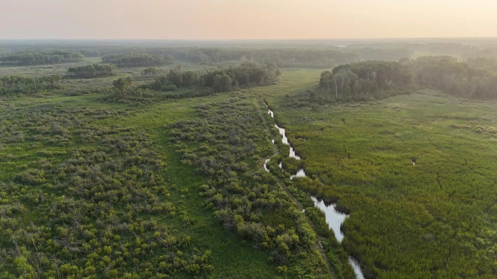 12031 State 64, Akeley