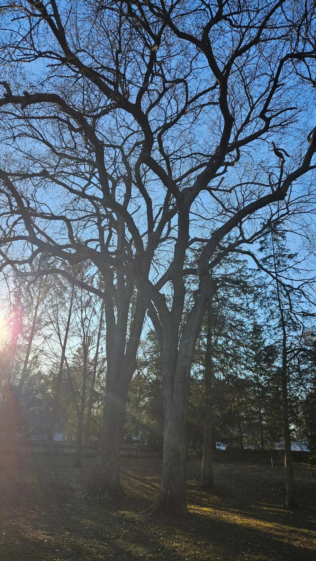 5920 Hodgson Road, Shoreview