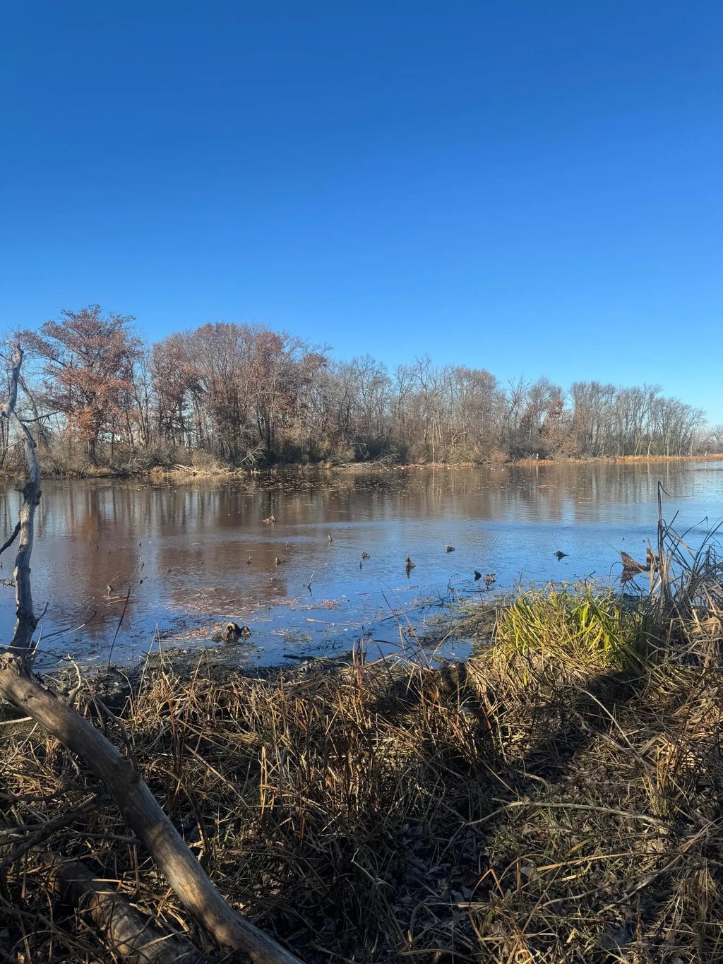 816 30th Street Nw, Faribault