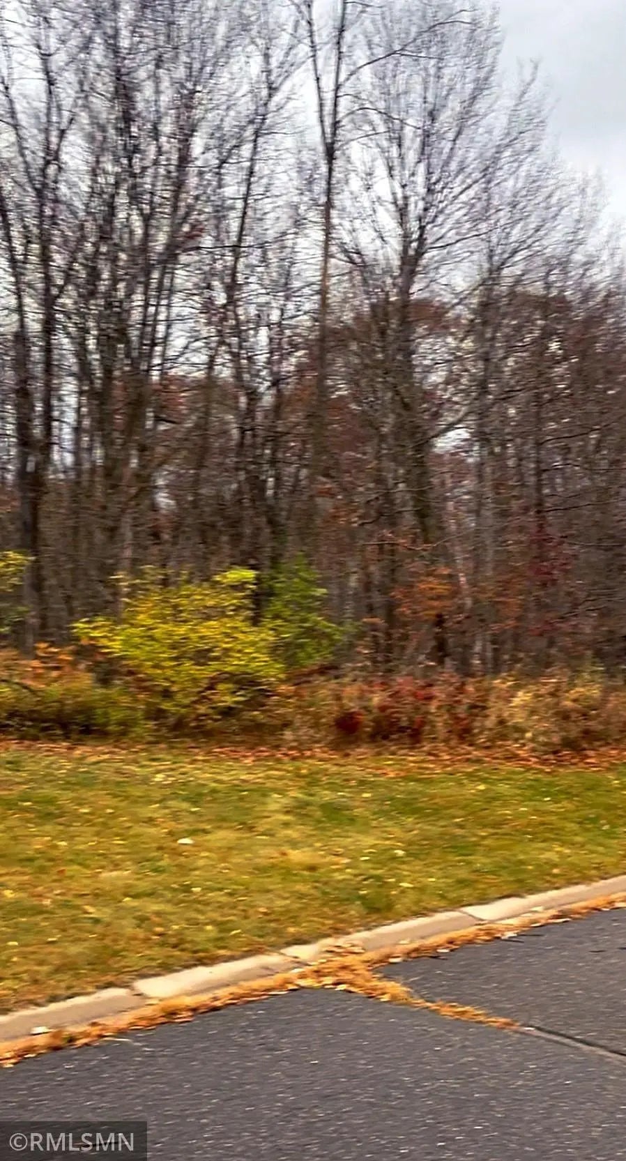 Lot 11 Wilderness Hills Lane, Luck