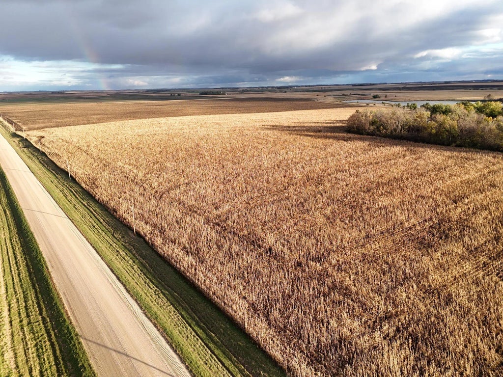 Xxxxx County Rd 4, Synnes Twp