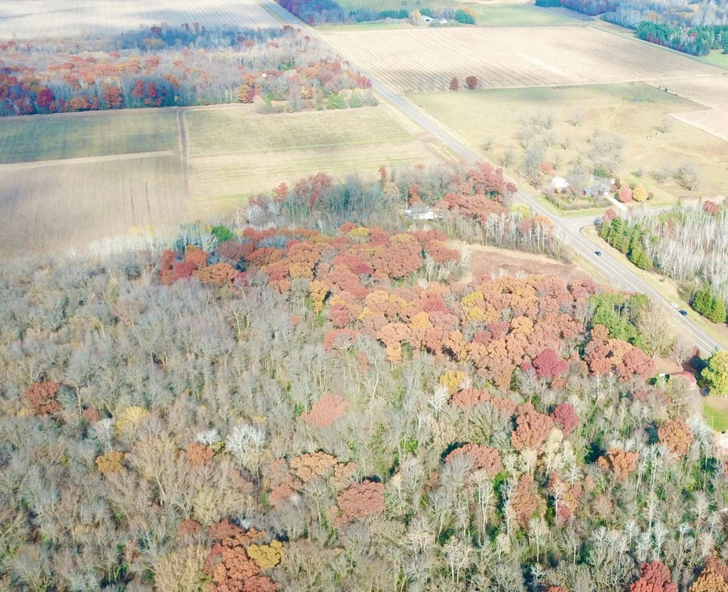 Tbdx 165th Avenue Se, Santiago Twp