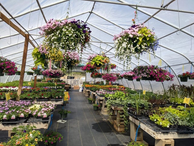 691 State 371 Nw, Powers Twp