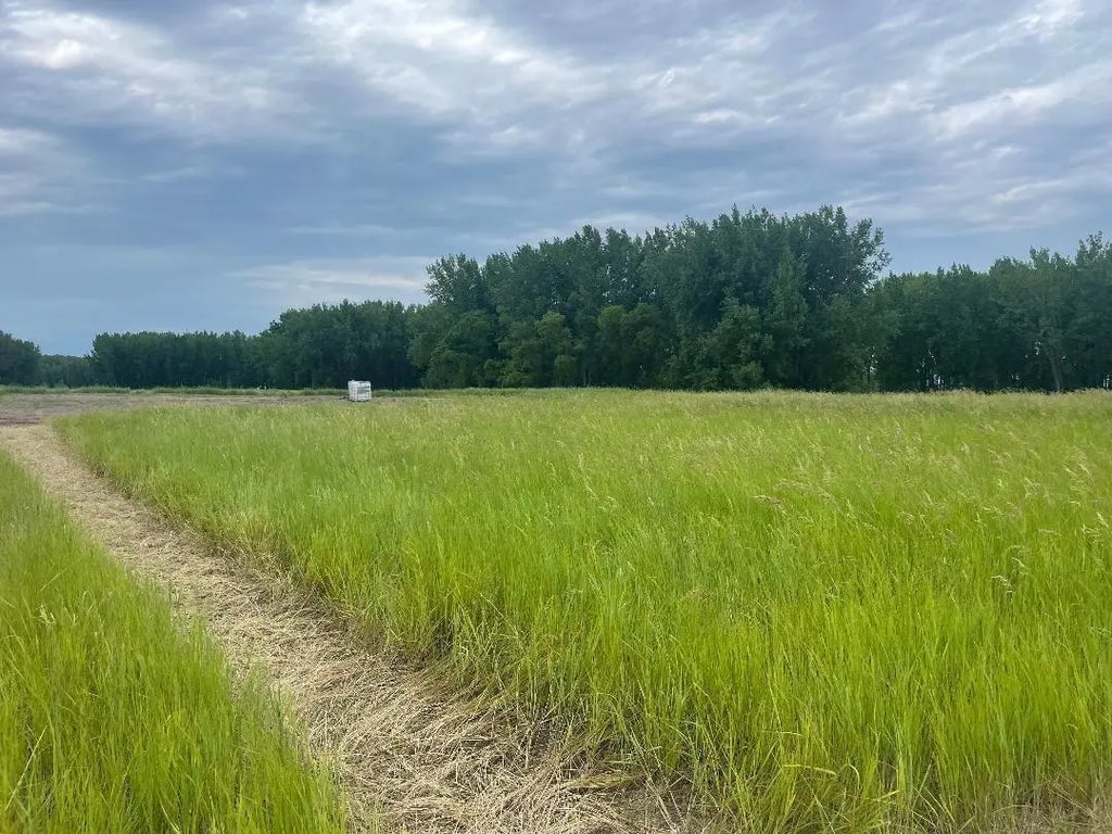 10220 State Hwy 9 S, Barnesville