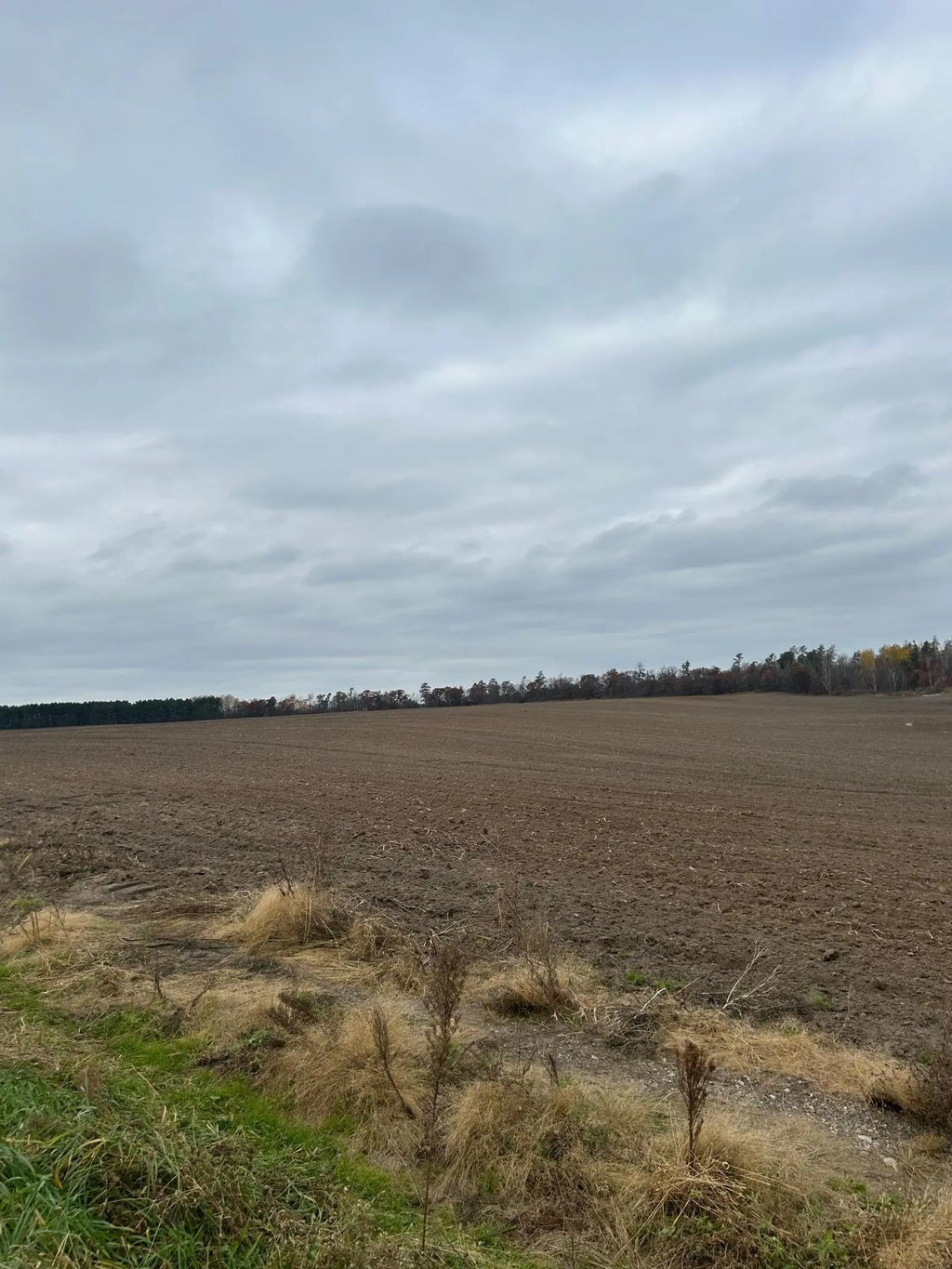 142 Ac Basswood Lake Rd, Ponsford