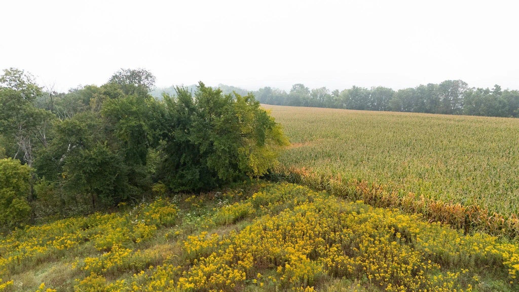 Tbd (lot  2) Goat Back Road, Pepin