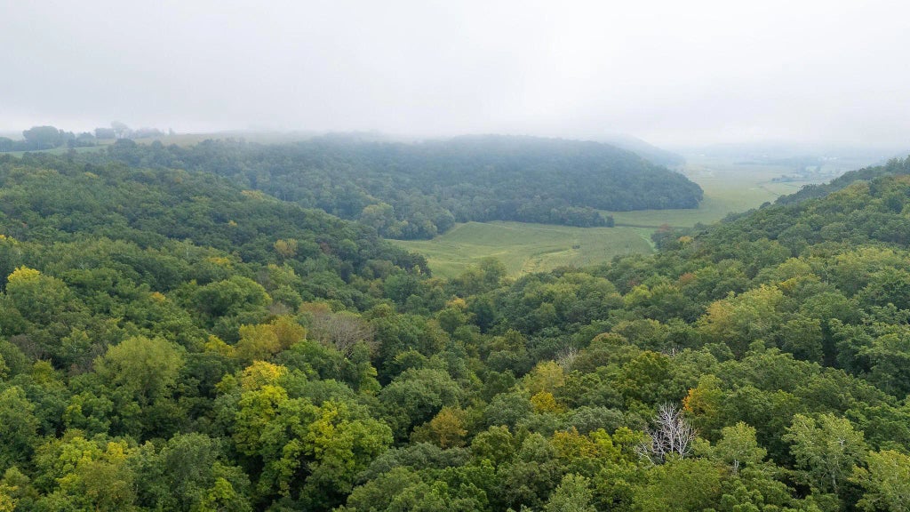 Tbd (lot 4) Goat Back Road, Pepin