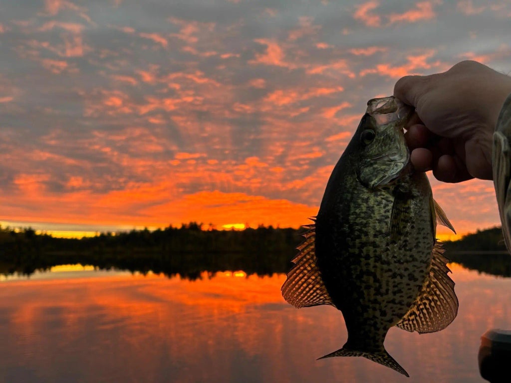 Tbd Wilderness Way, Cook