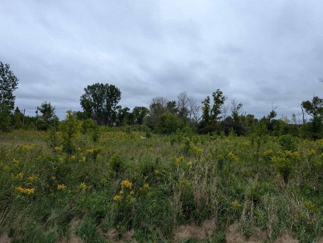 9500 145th Avenue Ne, Forest Lake