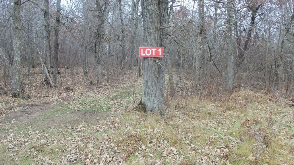 Lot 1 300th St, Sterling Twp