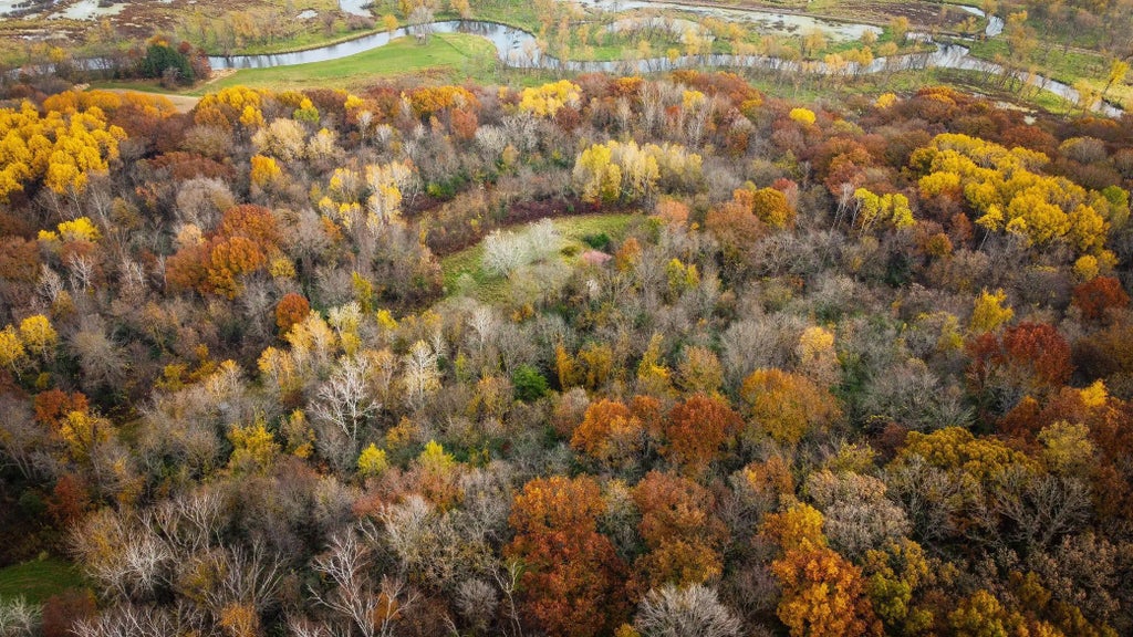 S3399 County Road P, Buffalo City