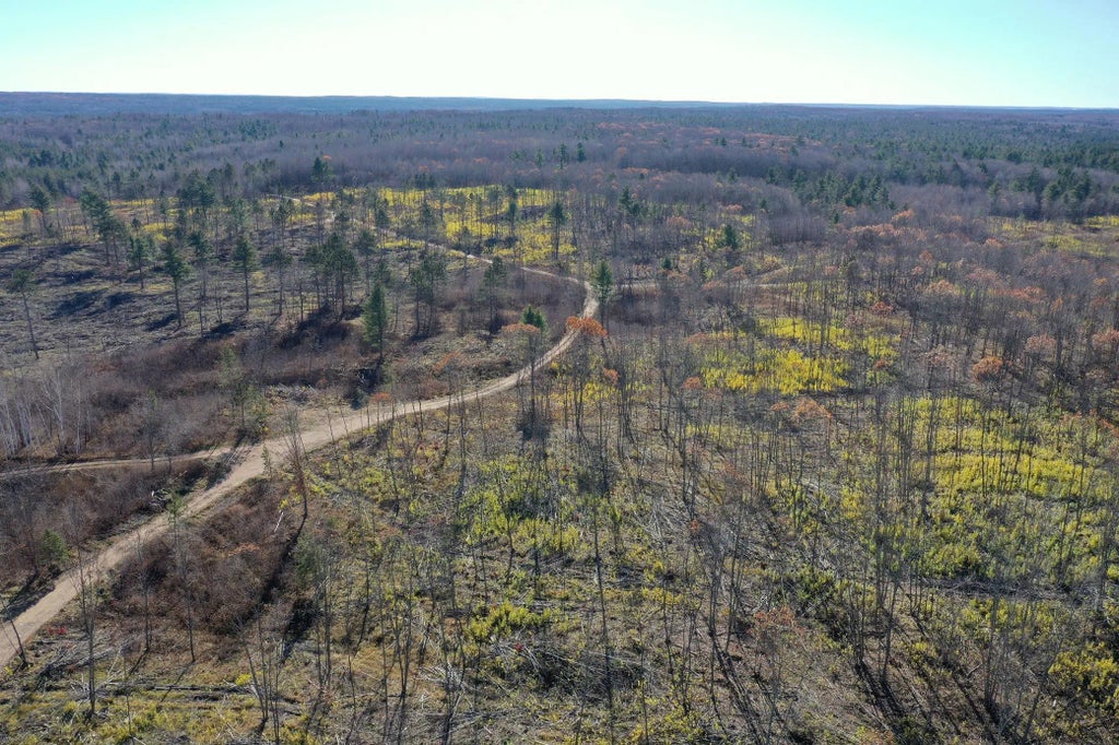 Tbd N Larsen Road, Lenroot Twp