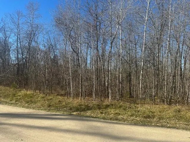 Tbd Crest Court Ne, Turtle River Twp