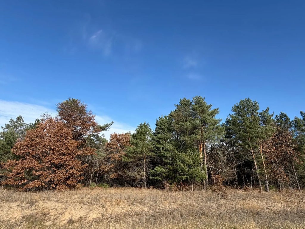 L5,blk1 262nd Avenue Nw, Orrock Twp