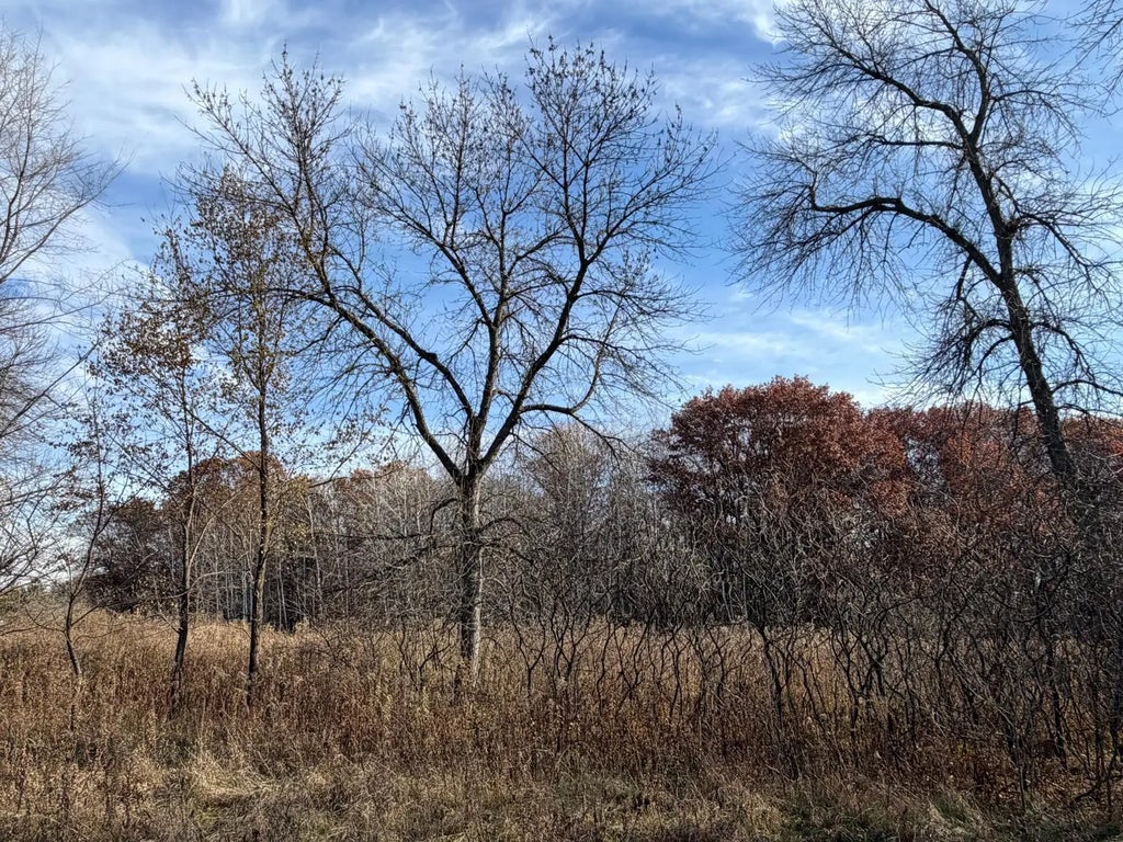 Xxxx Xerus Street Nw, Zimmerman