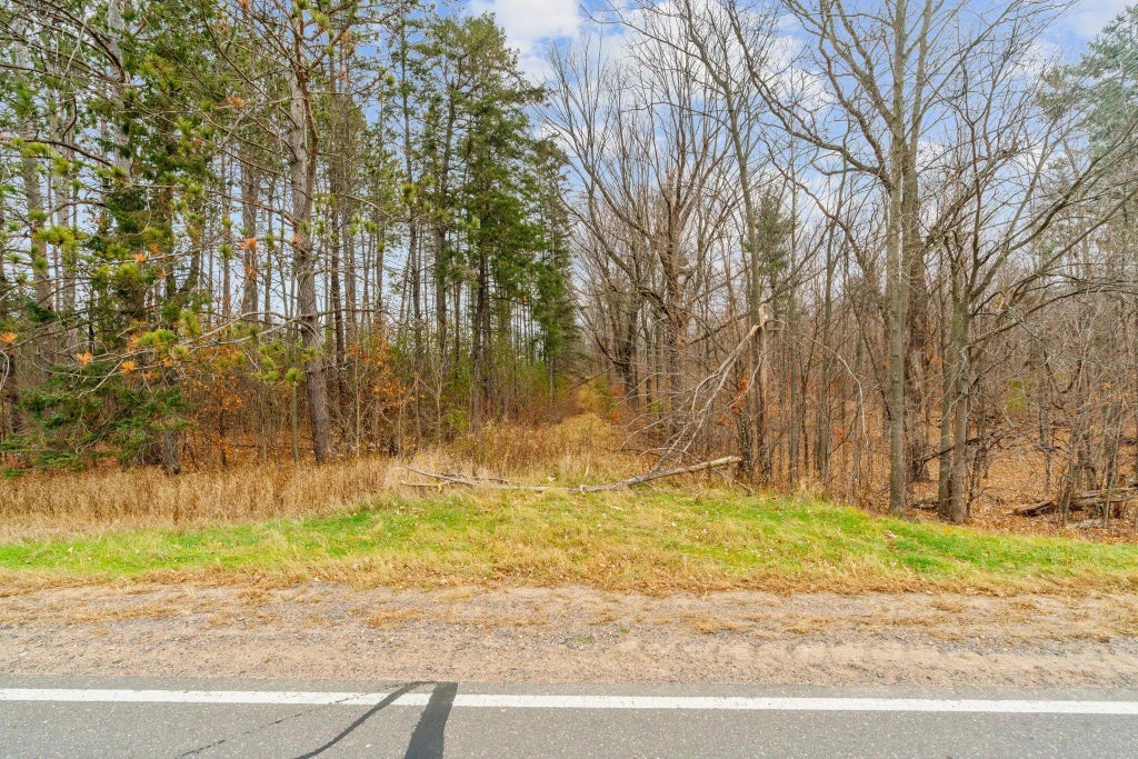 Tbd 110th Street, Bone Lake Twp