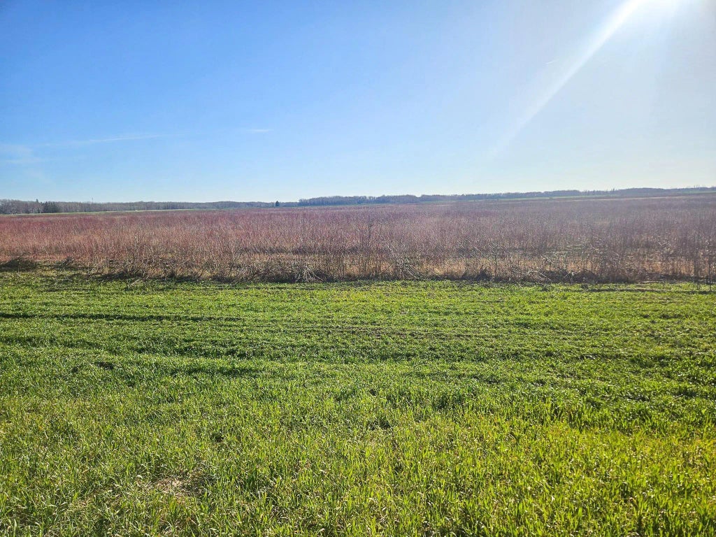 Tbd Tbd, New Maine Twp