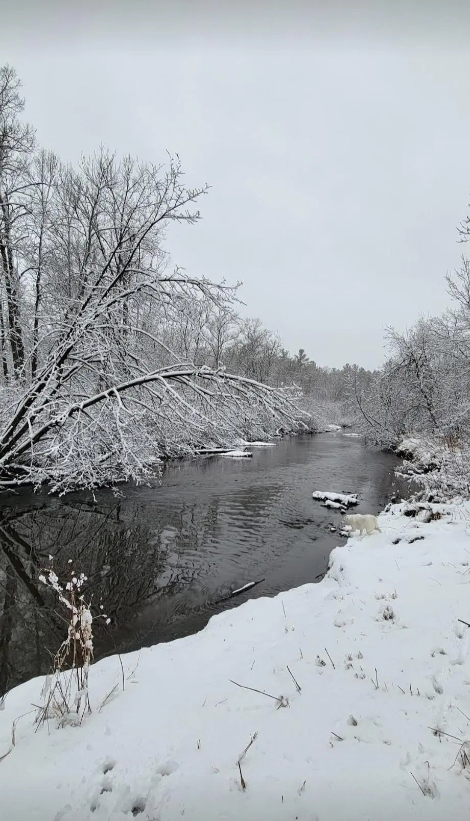 84335 Jack Pine Lane, Sturgeon Lake