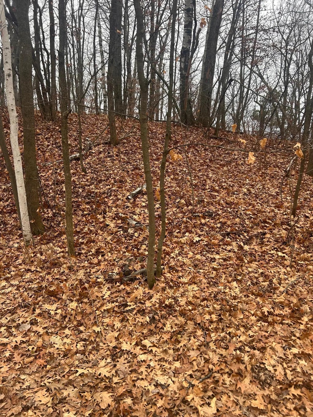 Tbd Golf Course Cir, Cushing Twp