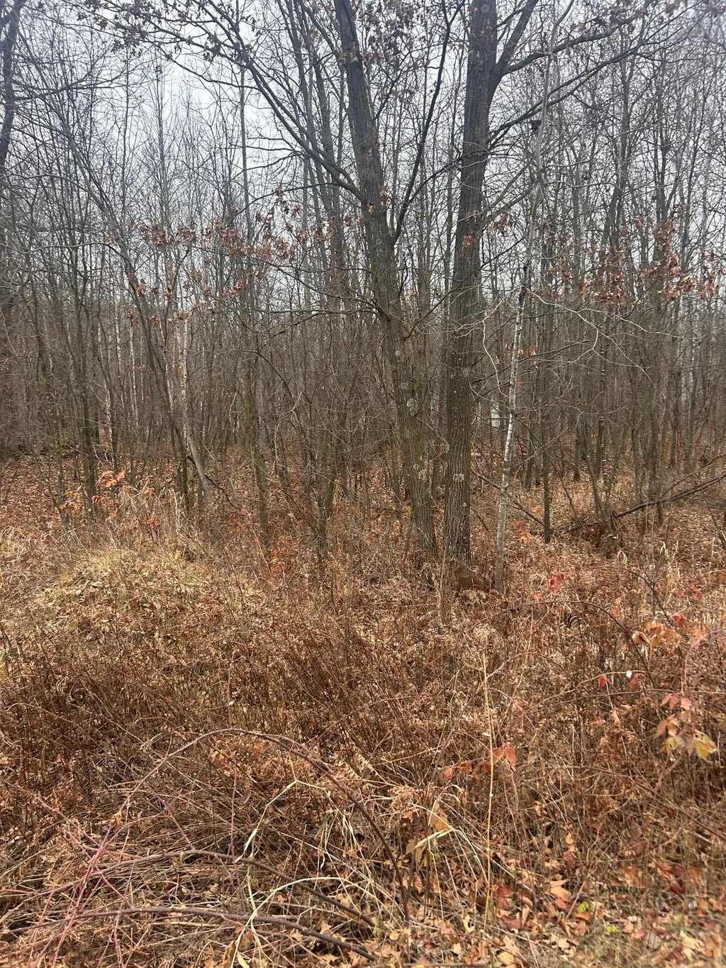 Tbd Lake Camile, Cushing Twp