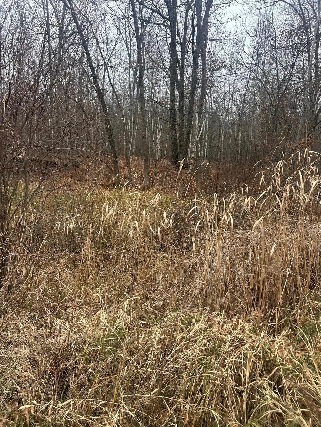 Tbdxx Lake Camile, Cushing Twp