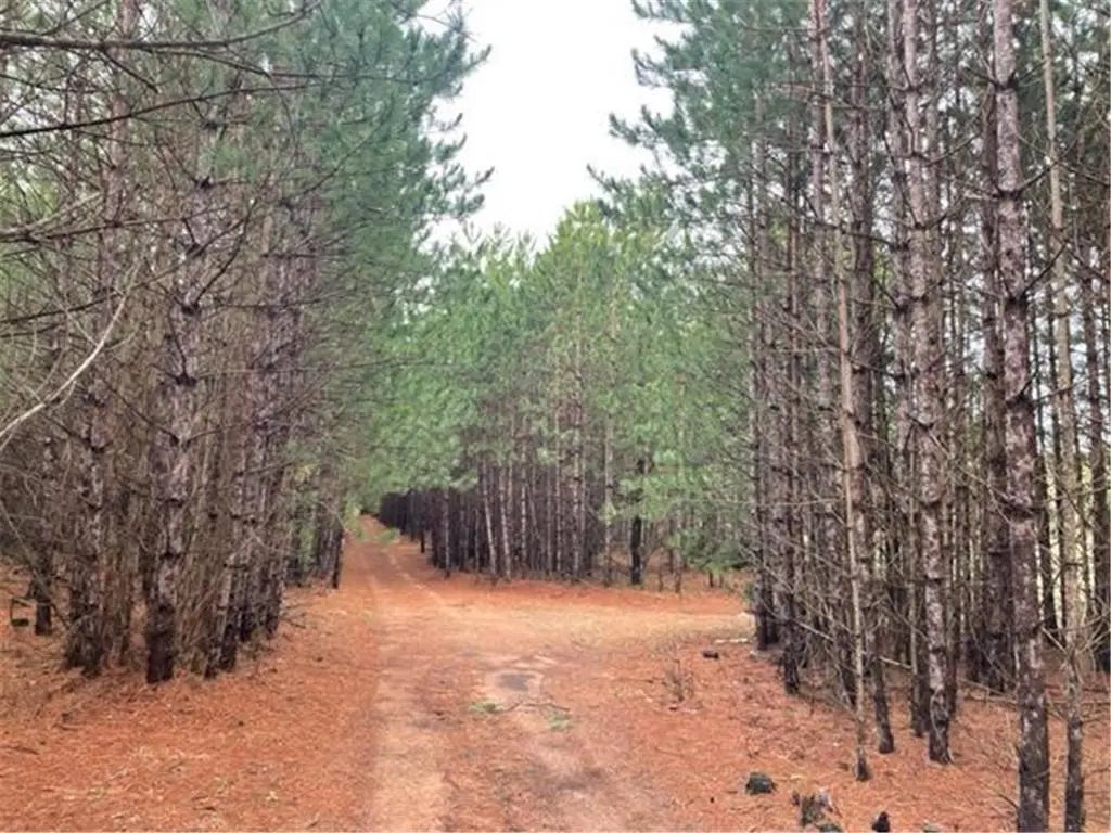 Xxx Hay Creek Boulevard, Grantsburg