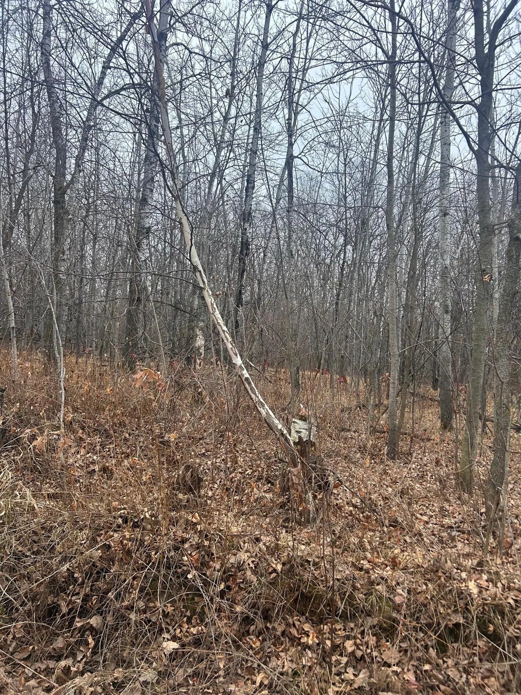 Tbdx Golf Course Dr, Cushing Twp