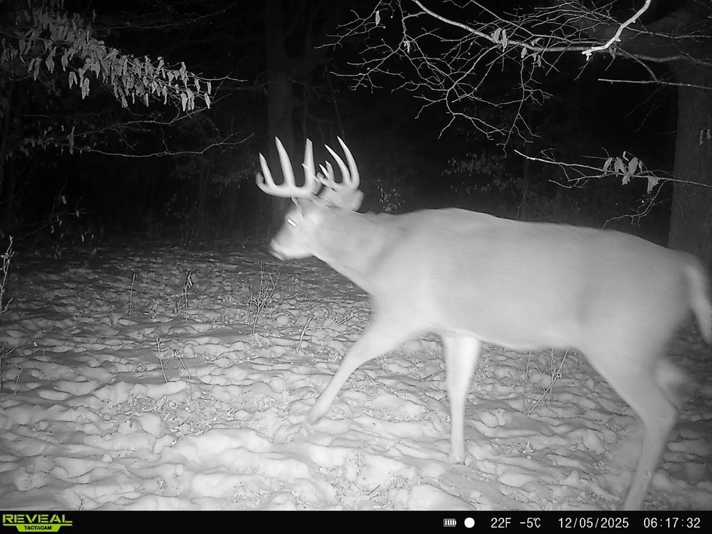 Tbd 294th Street, Red Eye Twp