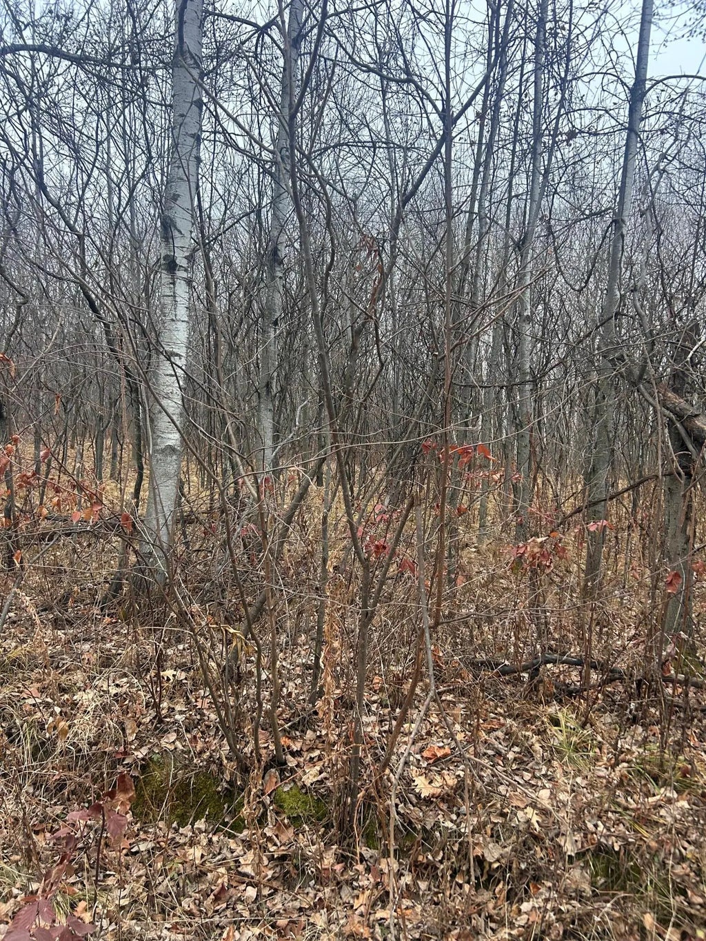 Tbdxx Golf Course Dr, Cushing Twp