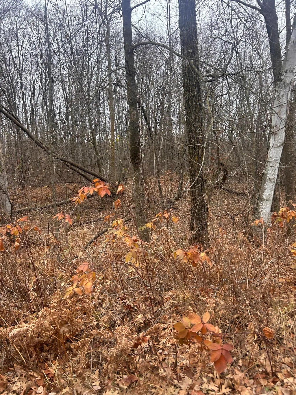 Tbdxxx Golf Course Dr, Cushing Twp