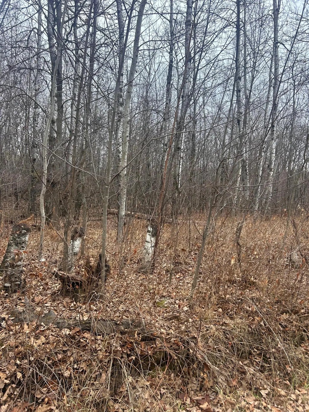 Tbdxxxx Golf Course Dr, Cushing Twp