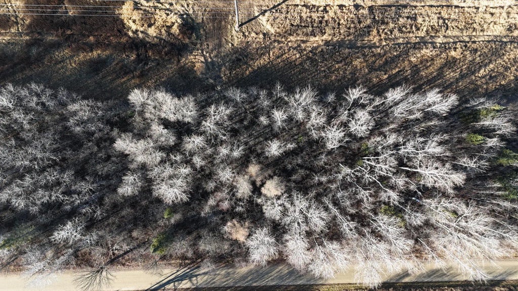 Parcel B Parameter Road, Deer River