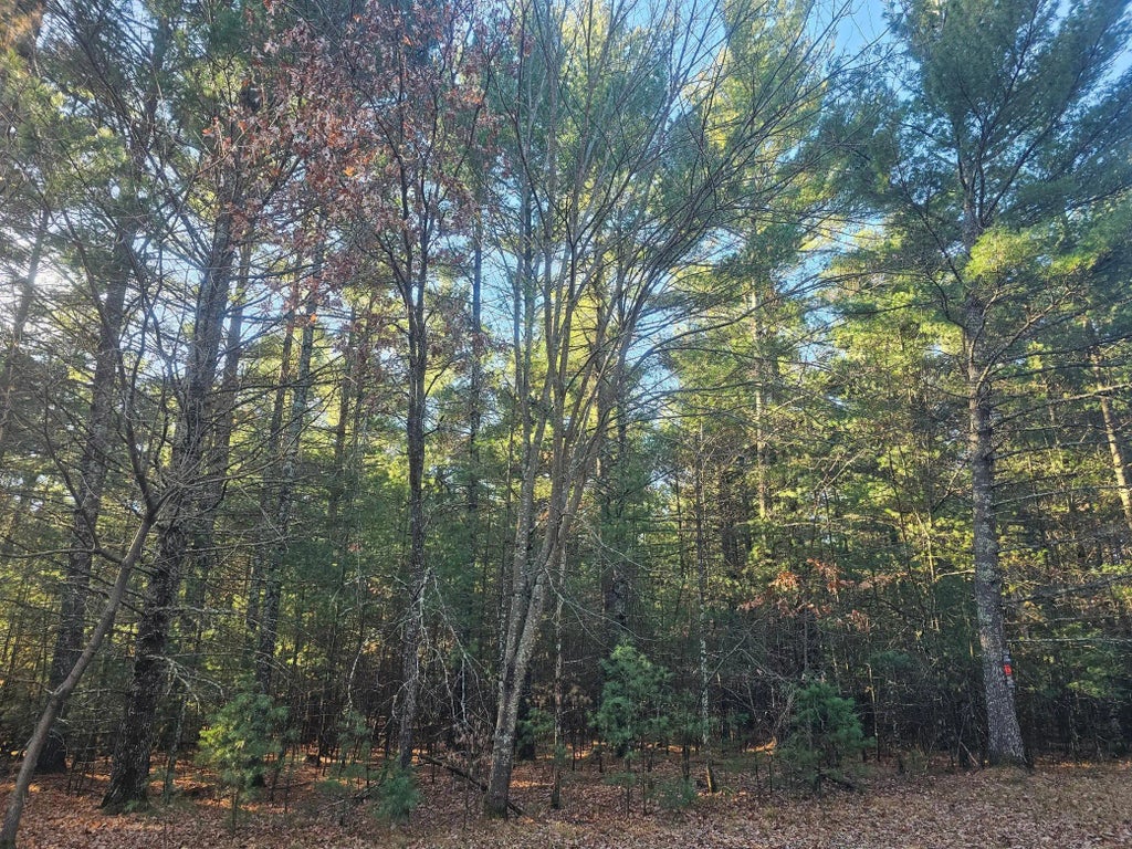 Xxx Harmon Avenue E, Grantsburg