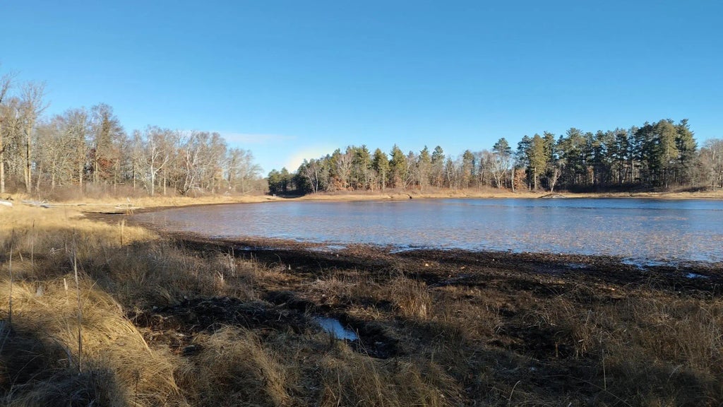 28515 Fools Lake Drive, Two Inlets Twp