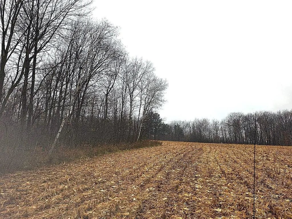 1141 12th Ave., Arland Twp