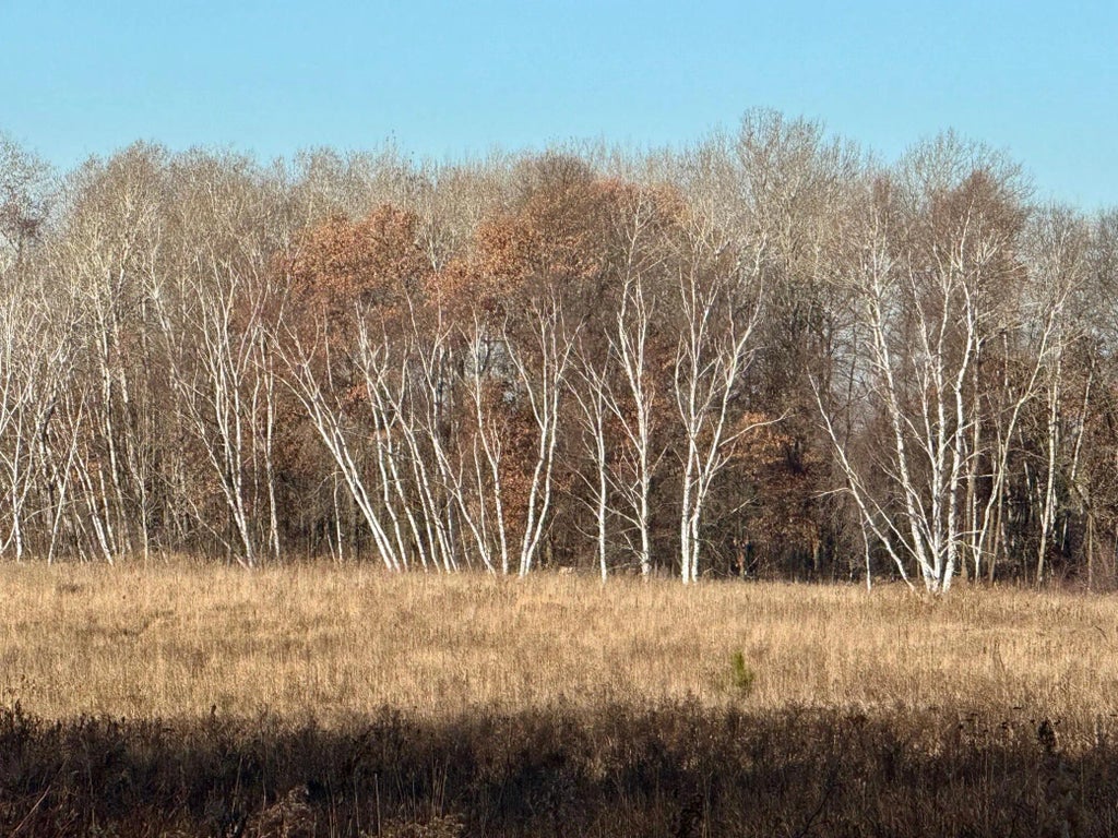 26xxx 175th Ave, Fort Ripley