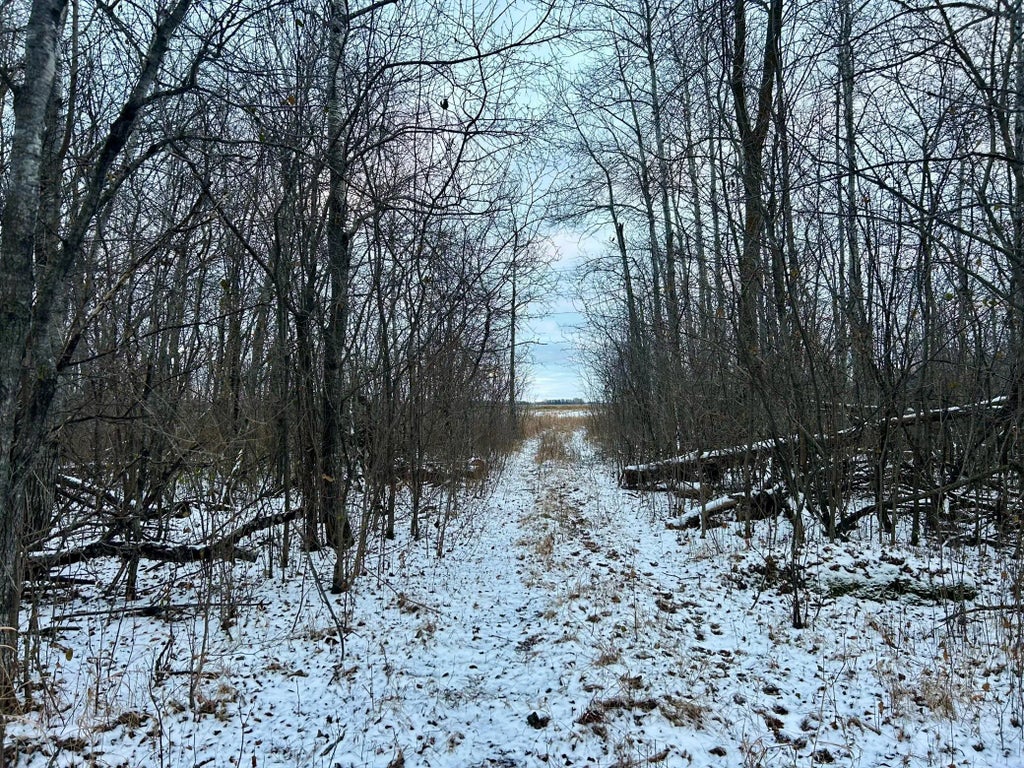 Tbd 160th Street Ne, Norden Twp