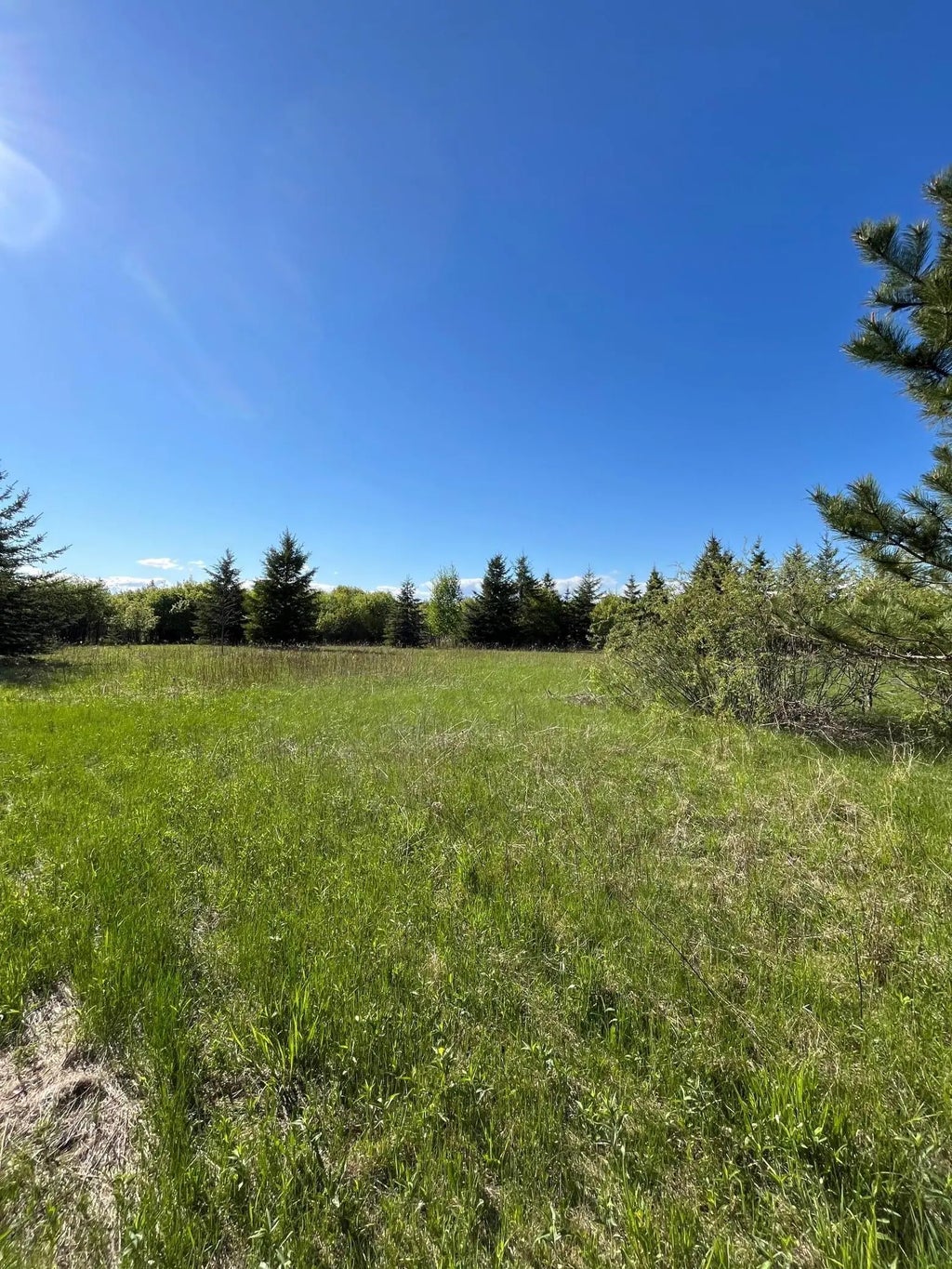 Lot 3 - Tbd 330th Street, Warroad