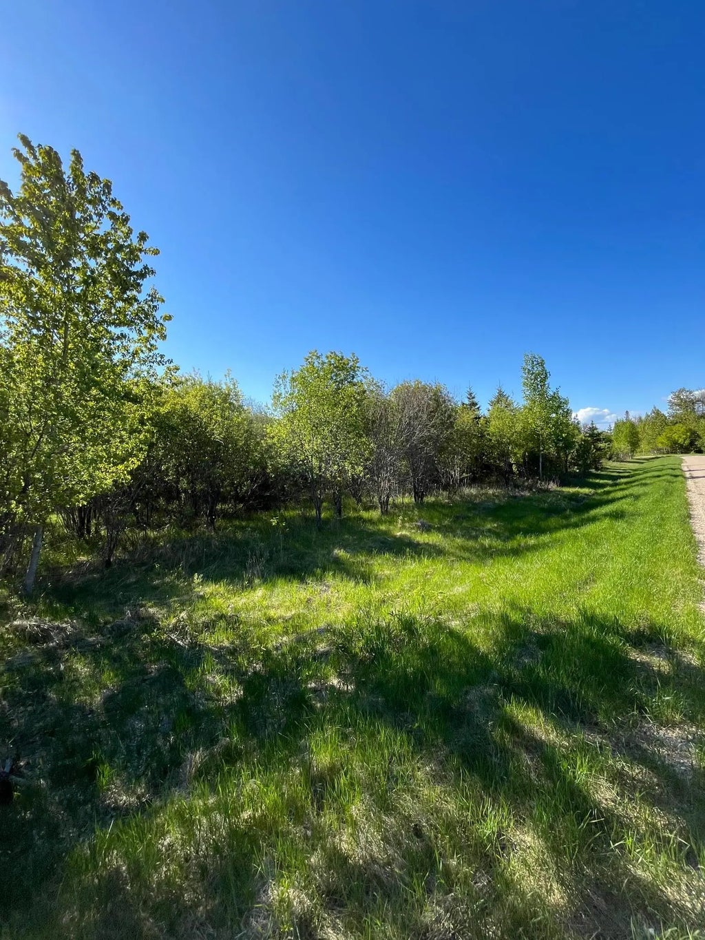 Lot 4 - Tbd 330th Street, Warroad
