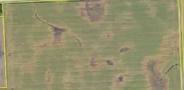 14409 560th Avenue, Donnelly