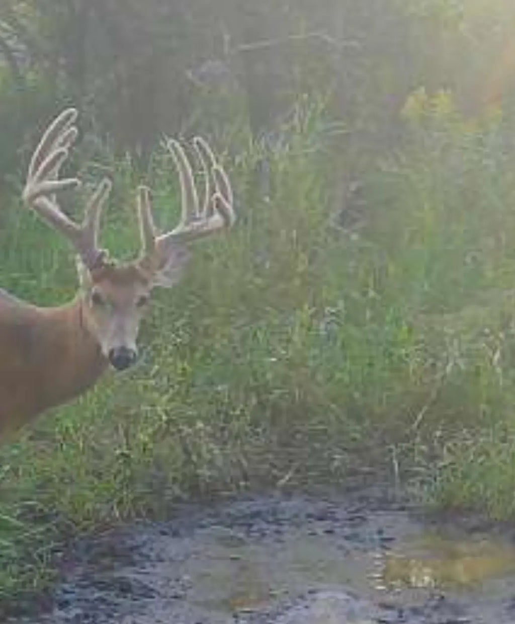 Tbd Co Hwy 73, Deer Creek