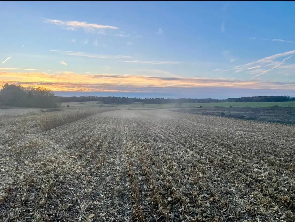 Tbd 85th Street, Clear Lake