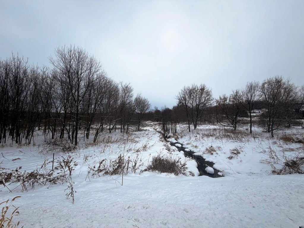 Tbd Lands Along 160th Ave & 315th St, Glenwood City