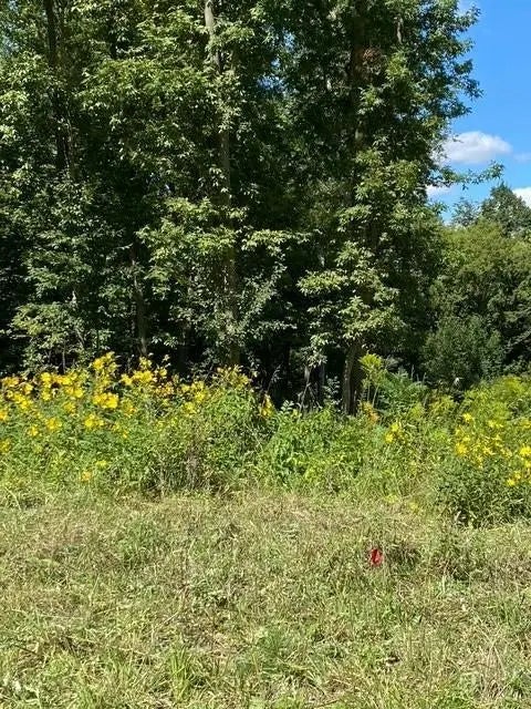 20011 Nevada Avenue, Prior Lake