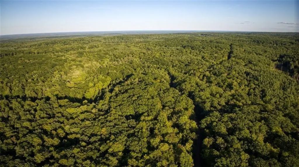 Block 5 Comet Road, Exeland, WI - MLS# 7002102 - LandBin.com