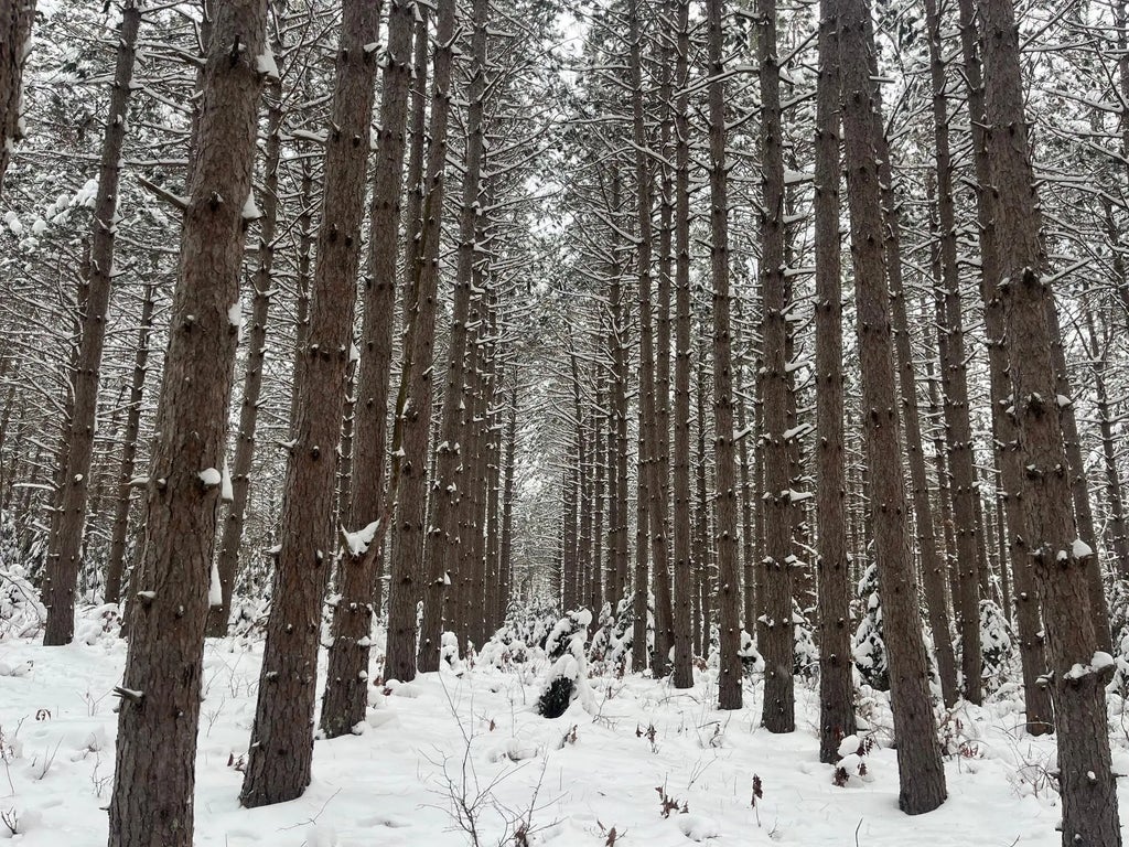 29931 Minerva Road, Danbury