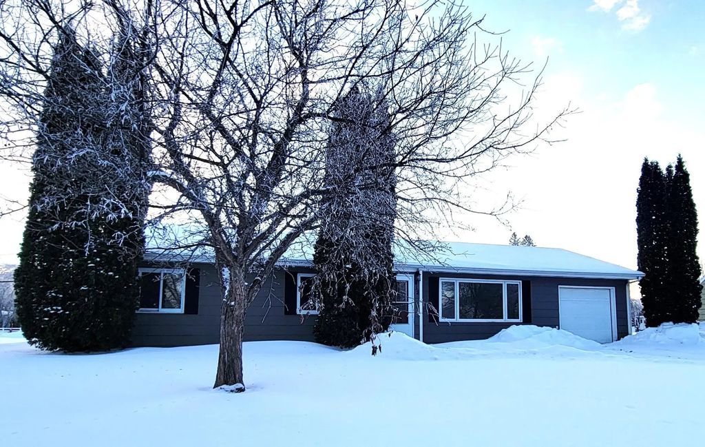 412 E Hamilton Avenue, Baudette